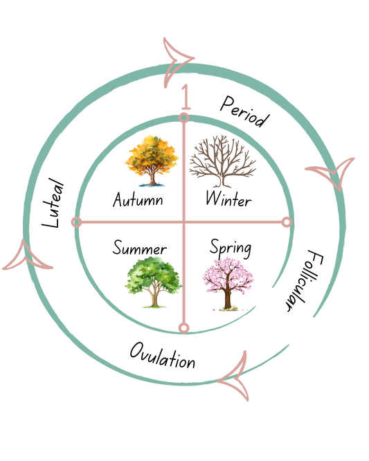 Menstrual Cycle Phases – Partner Support Guide for PMS Symptoms